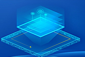 專(zhuān)業(yè)應(yīng)用軟件服務(wù)